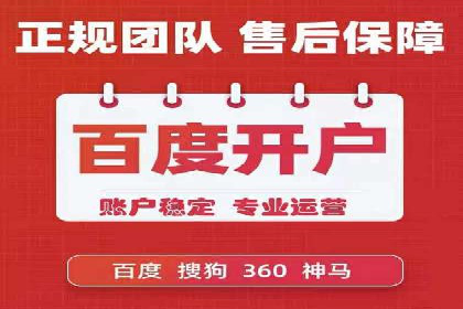 行业领先SEM托管代运营案例