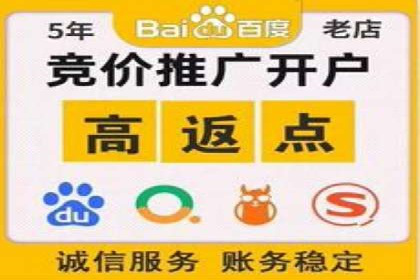 百度运营推广策略解析，看这些成功案例